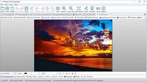 File Magic Download	