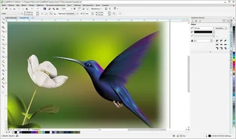 Corel Draw Download