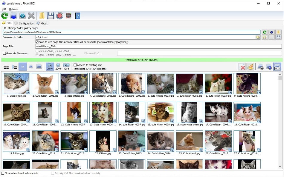 Bulk Image Downloader Versão Completa Crackeada Mais Recente [2026]