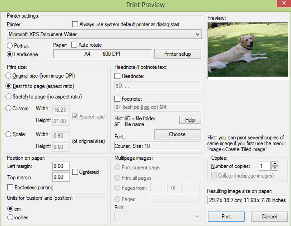 Irfanview Keygen Key Download Gratuito PT-BR 2026